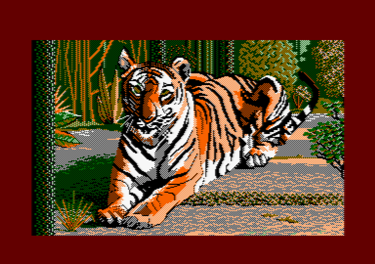 Tiger by Jill Lawson, mode 1 picture on an Amstrad CPC